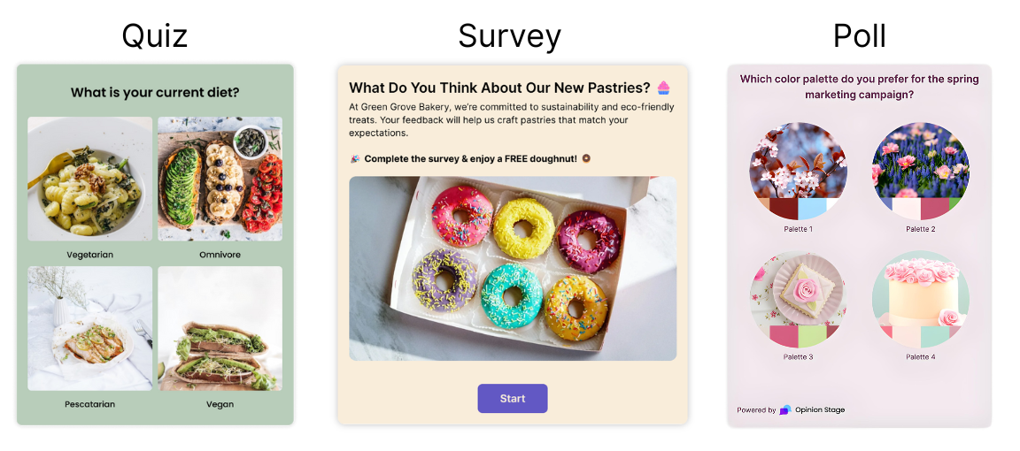 Opinion Stage is the best Outgrow alternative.