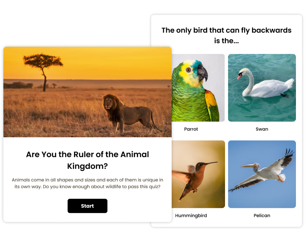 Screenshot of two Opinion Stage trivia quizzes. The first quiz, titled "Are You the Ruler of the Animal Kingdom?" features a lion in a savanna landscape with a "Start" button. The second quiz question asks about the only bird that can fly backwards, shown with multiple-choice image options.